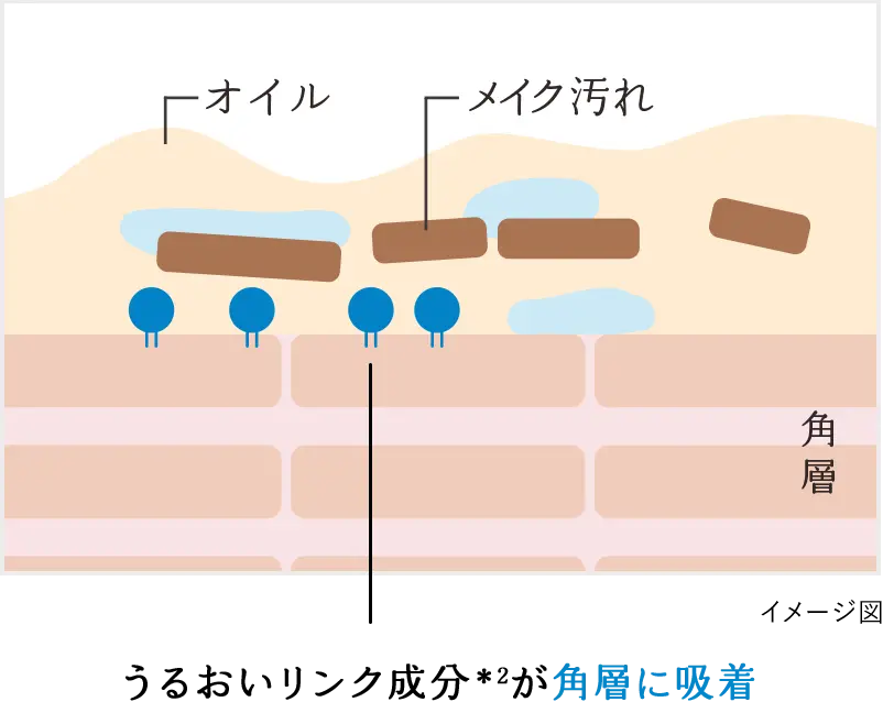 うるおいリンク成分*2が角層に吸着