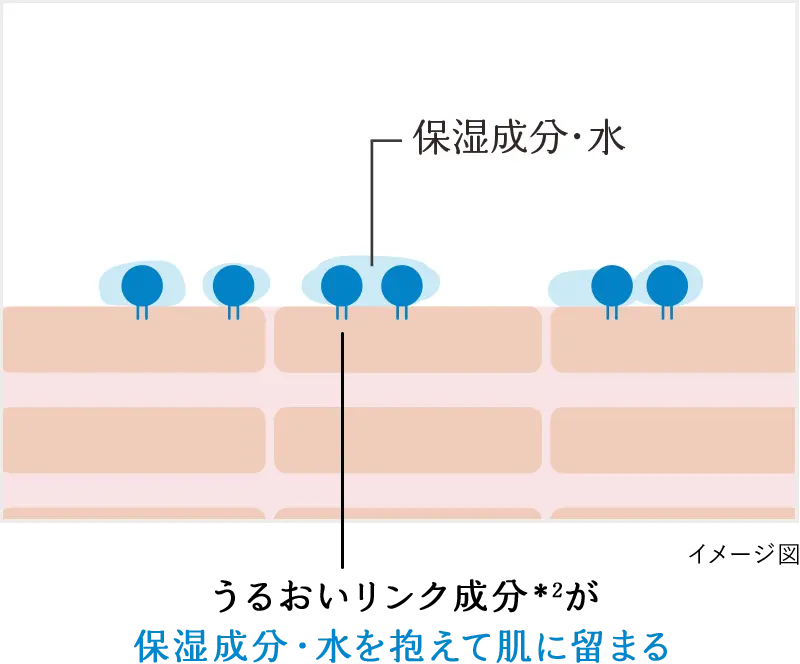うるおいリンク成分*2が保湿成分・水を抱えて肌に留まる