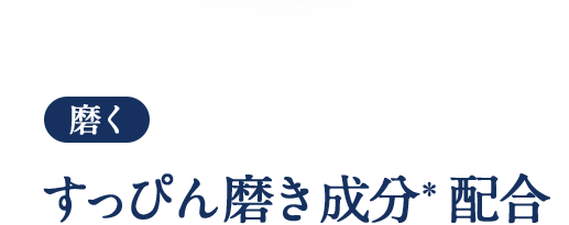 磨く すっぴん磨き成分＊配合
