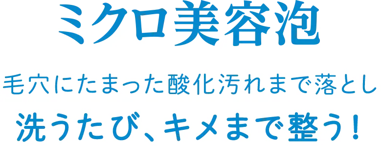 誕生 ミクロ美容泡 毛穴にたまった酸化汚れまで落とし洗うたび、キメまで整う！ 20年目の新処方。いつもの洗顔でキメを整えてツヤめく素肌へ。