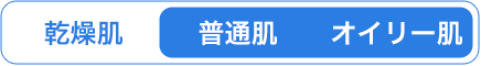 普通肌 オイリー肌