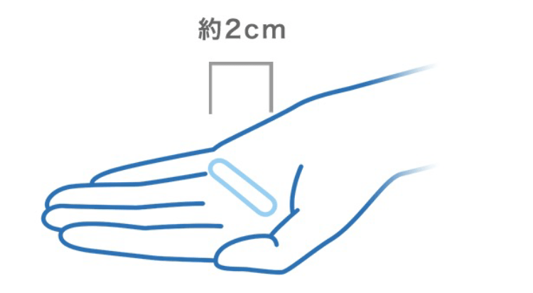 約2cm